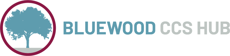 Bluewood CSS Hub logo